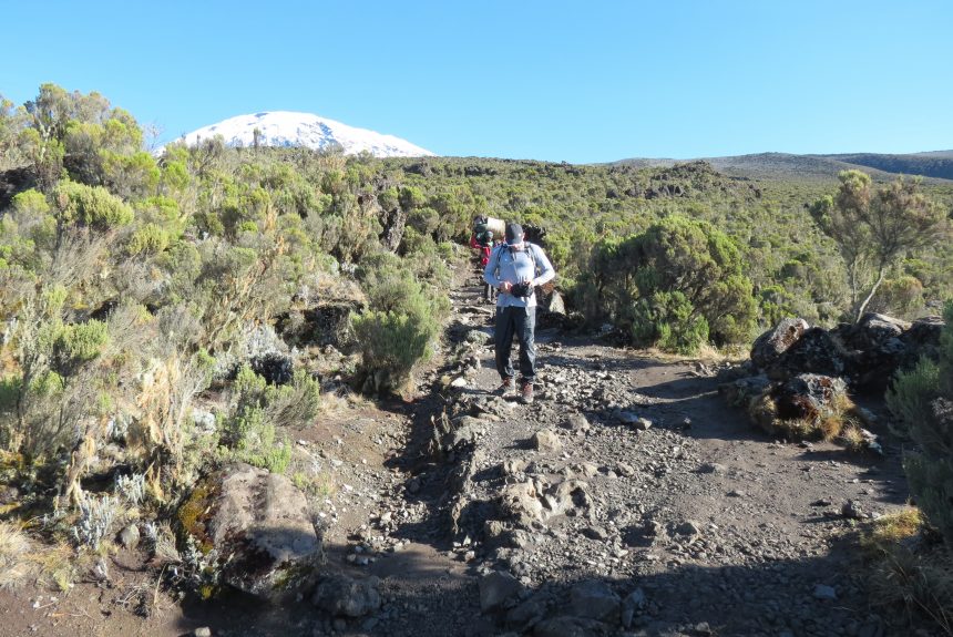 Kilimanjaro ecotourism routes recommended for climbing trips